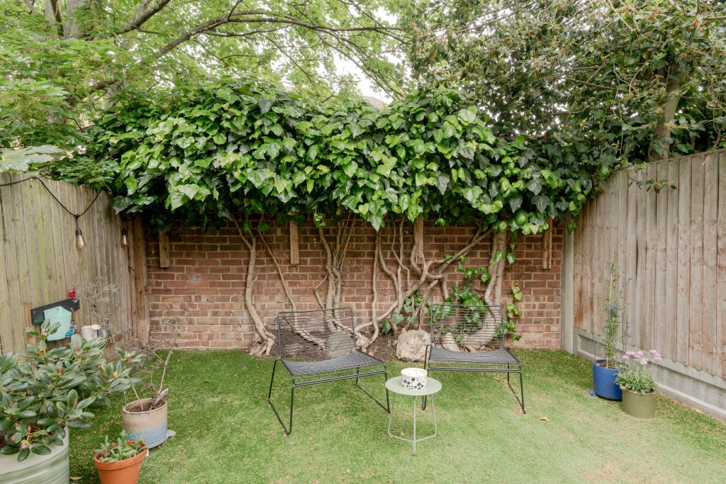 Property image 39