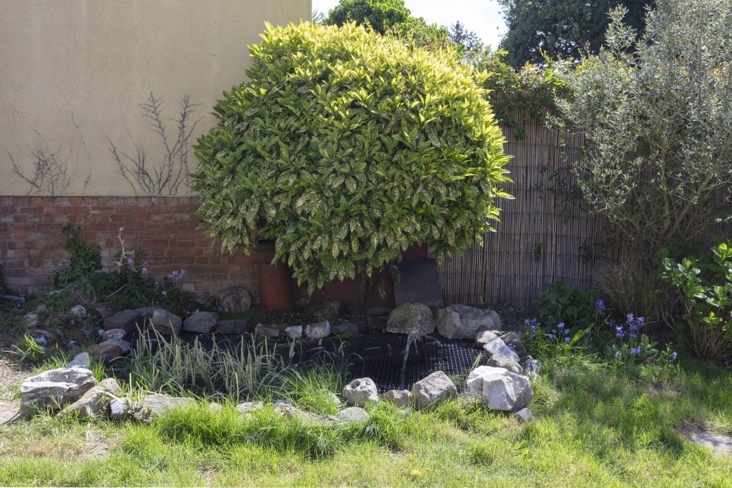 Property image 43